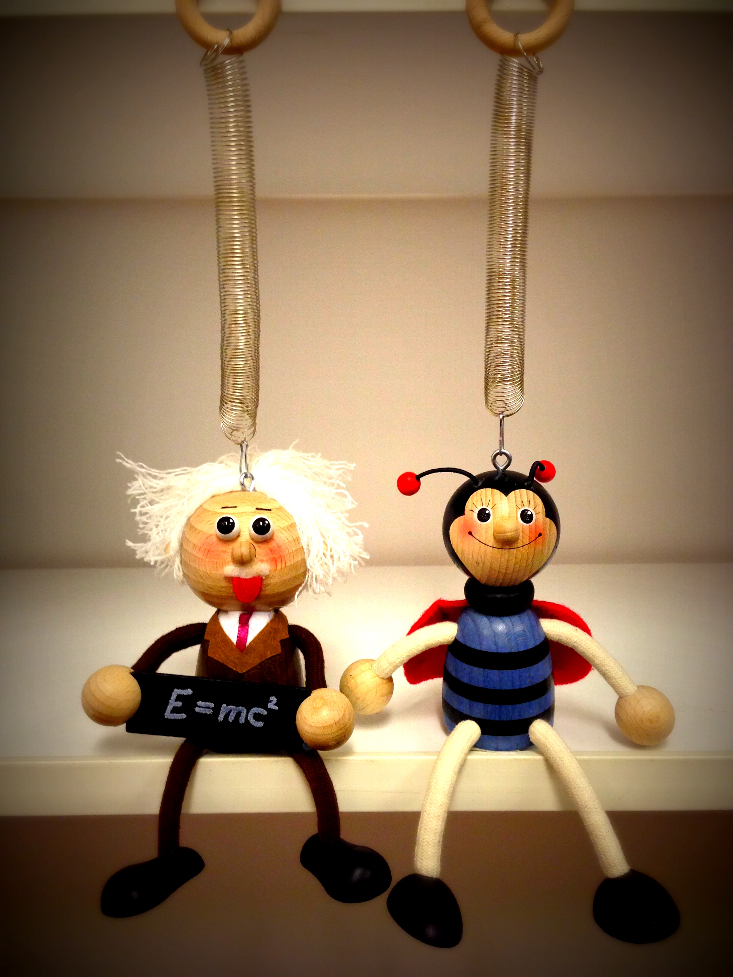 Einstein&Bugboy